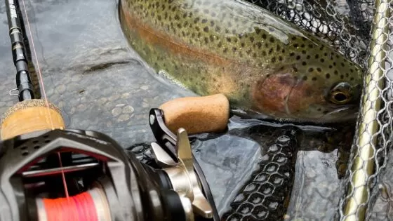 Field Report: AREA Super Trout Master Limited SVG Nylon–The best