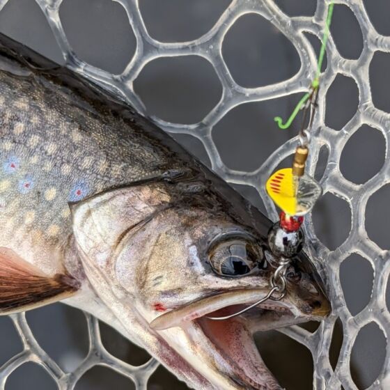 Japanese Fishing Line Size VARIVAS