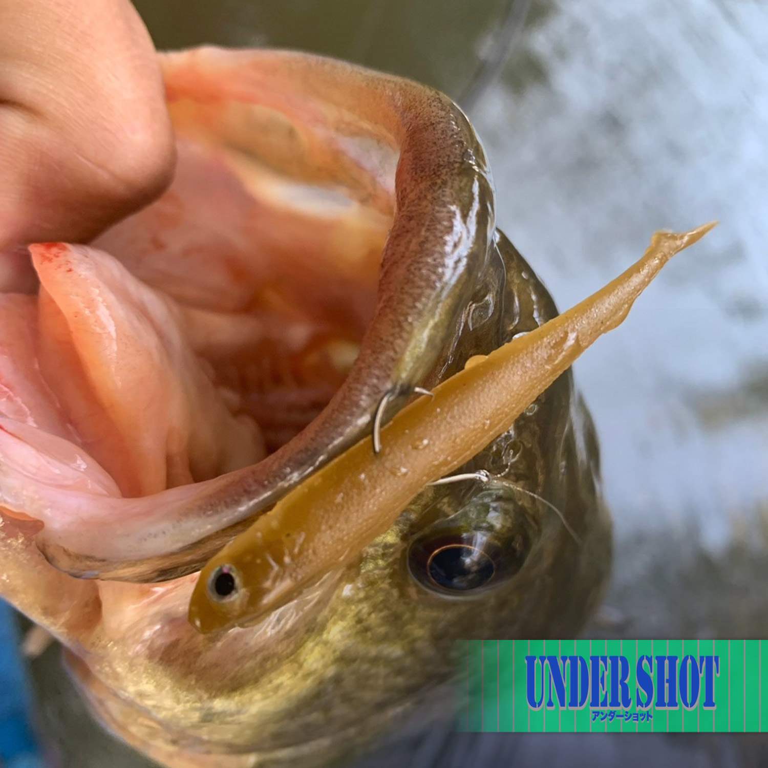 undershot_hook_fish undershot_hook_fish