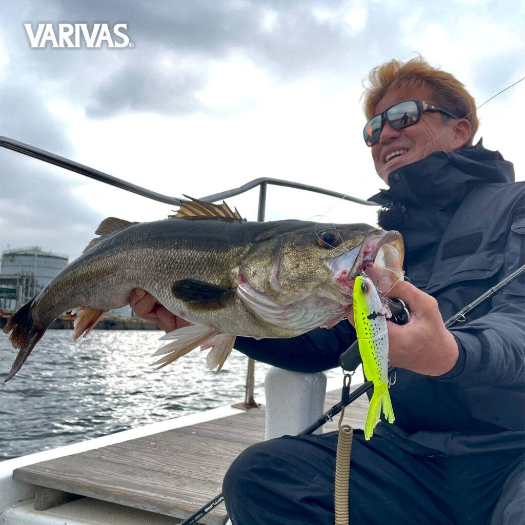 swimbait-pe-smp_6 swimbait-pe-smp_6