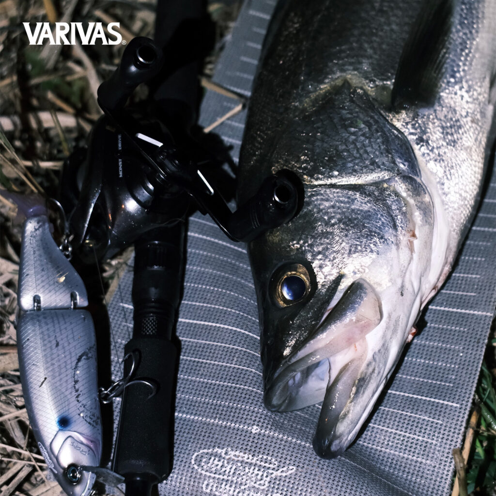 swimbait-pe-smp_8 swimbait-pe-smp_8
