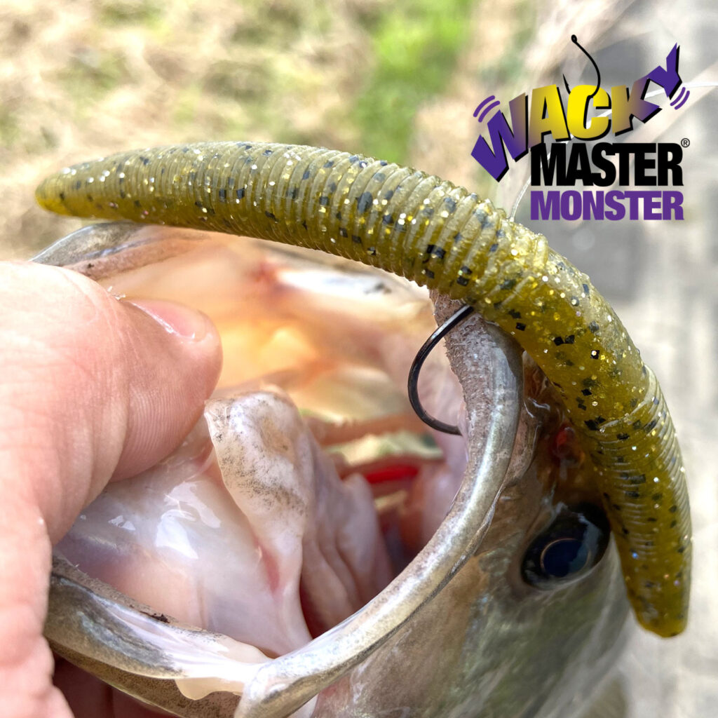 wacky-master-monster-hooks_5 wacky-master-monster-hooks_5