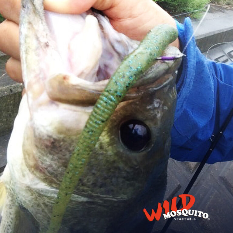 wild-moquito-hooks_6 wild-moquito-hooks_6